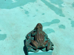 В Кисловодске лягушки забронзовели за 25 миллионов