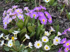 Стало известно, какой будет погода в Ставрополе в последнюю субботу марта