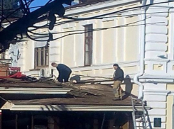 Зараженные деревья спилили на Курортном бульваре Кисловодска 