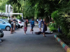 Молодого мужчину пырнули ножом в живот и шею в Ставрополе