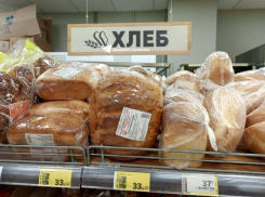 Пора сушить сухари? Станет ли хлеб на Ставрополье очередным деликатесом