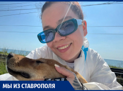 «Отравлены, испачканы мазутом и беззащитны»: ставропольчанка помогает спасать животных после «нефтяного дождя» под Туапсе