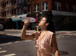 Экстренное предупреждение о 42-градусной жаре объявили в Ставропольском крае 