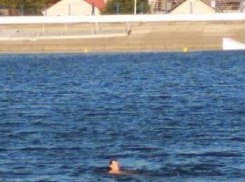 «Это Ставрополь, детка»: мужчина купался в полуспущенном Комсомольском пруду 