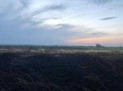 Пожар на ячменном поле в Ставропольского крае обошелся без жертв