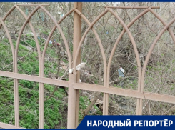 Жители Ставрополя обнаружили «речку-вонючку» в Октябрьском районе города