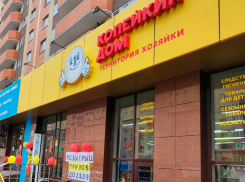 «Помогите очистить полки»: сеть «Копейкин дом» объявила о закрытии в Ставрополе