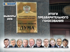 Второе предварительное голосование по выборам в Госдуму выиграла партия «Единая Россия»