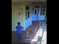 Любимца двора убили ядовитым дротиком