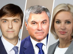 За работу со школами и телефоны у учеников Володин раскритиковал депутата от Ставрополья Казакову в Госдуме