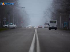 В центре Ставрополя из-за упавшего дерева образовались пробки
