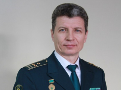 Ставропольский Fresh Fitness и другие активы на полмиллиарда могут изъять у экс-главы Московской таможни Романовского