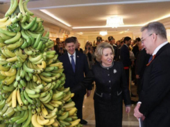 Новые тепличные комплексы по выращиванию бананов появятся в Невинномысске в 2026 году 