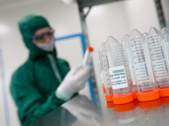 У семьи умершей ставропольчанки тоже подтвердился коронавирус