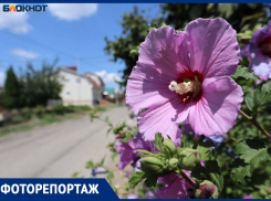 Обнесенный Татаркой: рассказываем о ставропольском СТ «Аграрник»