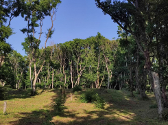 Солнце и дожди в один день пообещали ставропольцам 7 апреля