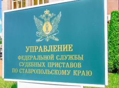 Более 61 миллиарда рублей задолжали ставропольские правонарушители государству