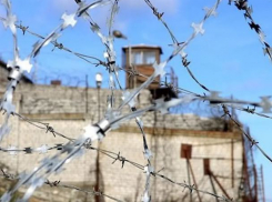 Находчивый аферист пообещал бизнесмену продать лицензию на работу с гостайной за полтора миллиона рублей на Ставрополье