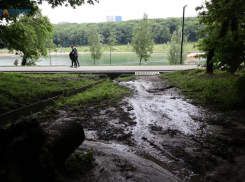 Дождливые выходные ожидают ставропольчан на этой неделе
