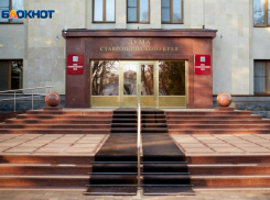 Дума Ставрополья закупает занавески и покрывала за 190 тысяч рублей