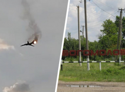 Четыре члена экипажа на борту: Минобороны РФ подтвердило падение военного самолета на территории Ставрополья 