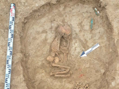 Лепной горшок, скелеты и другие артефакты нашли при раскопках могильника на Ставрополье 