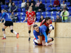 Полку мастеров спорта на Ставрополье прибыло