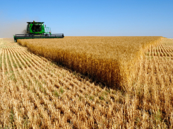 Предприниматель Ставрополья незаконно пользовался землей