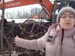 Мэрия Ставрополя проверит границы лесного массива в урочище «Мутнянка»