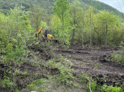  Злоумышленники пытались самовольно вырубить лес на Машуке в Пятигорске