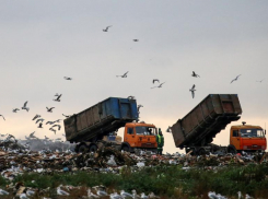 Более полумиллиарда рублей потратят в Железноводске на уборку 600 тысяч кубометров бытового мусора