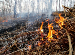 Опасность возникновения пожаров сохранится на неделю в Ставропольском крае