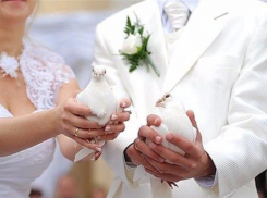 65 семейных пар Ставрополья соединит брачными узами День Влюбленных