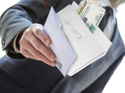 Войну «серым» зарплатам объявили на Ставрополье