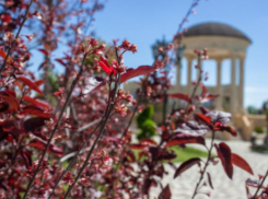 Во вторник в Ставрополе будет ветрено, но тепло