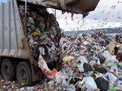 Прокуратура оштрафовала нелегальных мусорщиков в Андроповском районе