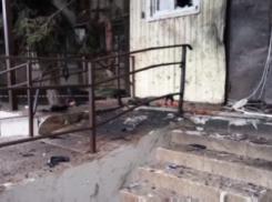 В домах боевиков, напавших на отдел полиции Ставрополья, завершили обыск