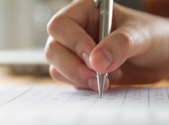 Выборы для чайников: какие партии метят на одномандатные округа Ставрополья?