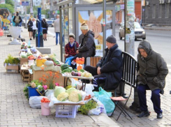 Продавцов на стихийных рынках оштрафовали после рейда в Невинномысске