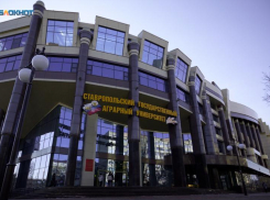 Замдиректора института Ставропольского государственного аграрного университета продлили арест за взятку