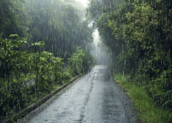 Грозы и сильные дожди разбавят 30-градусную жару на Ставрополье в выходные 