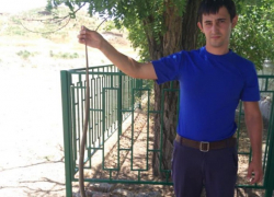 Агрессивная змея заползла в помещение и бросалась на людей в Ставропольском крае 