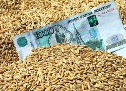 Зерновых мошенников приговорили больше чем к трем годам колонии строгого режима на Ставрополье