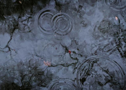 Дожди и туманы накроют Ставрополье 9 января