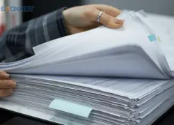 На подбор экспертного совета для студвесны в Ставрополе потратят более 10 миллионов рублей