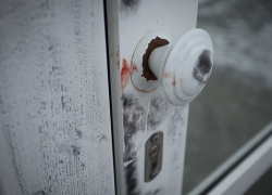 Подростки четыре месяца воровали деньги у пенсионерки