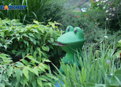 Потепление до +15 градусов и ясное небо придут на Ставрополье в среду