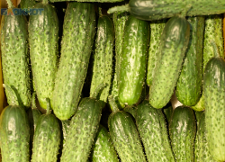 Огуречный шок и водочный рост: с какими ценами на продукты Ставрополье встретило Новый год