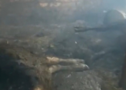 «Все машины пожарных уехали тушить поля, а наши дома и скот сгорели», - жительница сгоревшего поселка на Ставрополье 