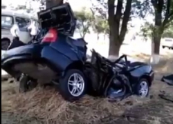 Два брата погибли в страшном столкновении "Хендая" с деревом на Ставрополье